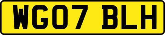 WG07BLH