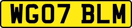WG07BLM