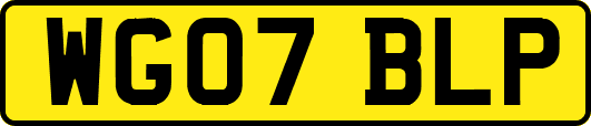 WG07BLP