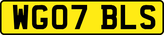 WG07BLS