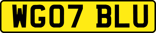 WG07BLU