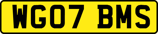 WG07BMS