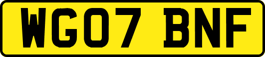 WG07BNF