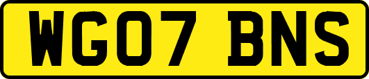 WG07BNS