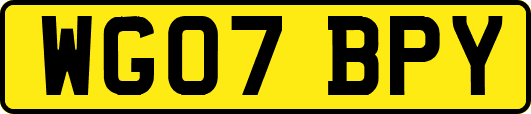 WG07BPY