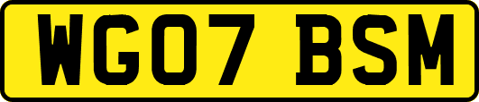 WG07BSM