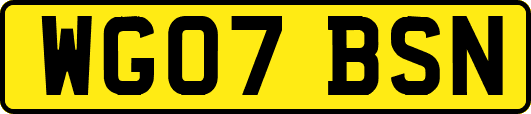 WG07BSN