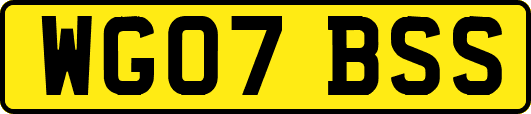 WG07BSS