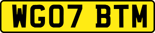 WG07BTM