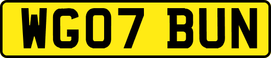 WG07BUN