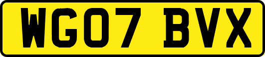 WG07BVX