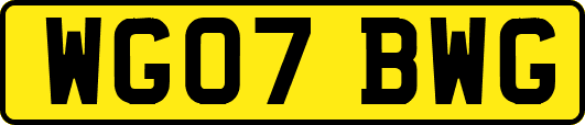 WG07BWG