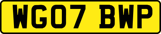 WG07BWP