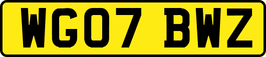 WG07BWZ