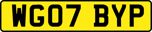 WG07BYP