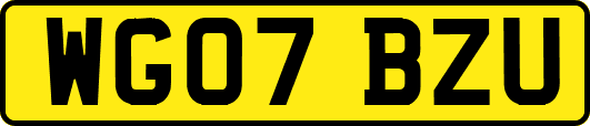 WG07BZU