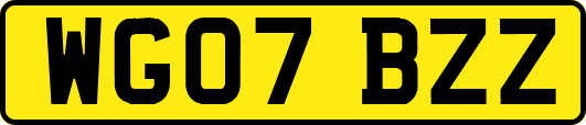 WG07BZZ
