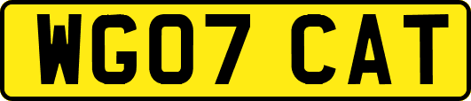 WG07CAT