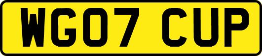 WG07CUP