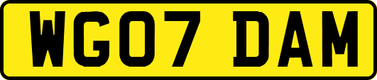 WG07DAM