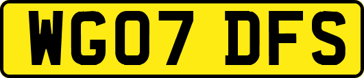 WG07DFS