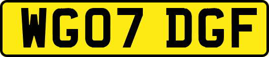 WG07DGF