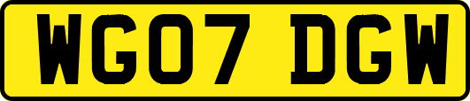 WG07DGW