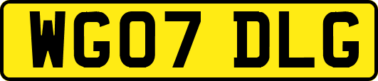 WG07DLG
