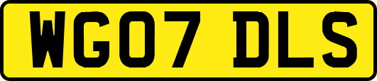 WG07DLS
