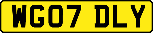 WG07DLY