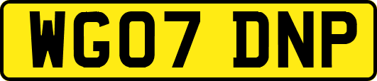 WG07DNP