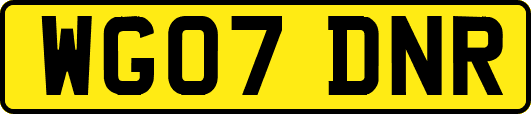 WG07DNR