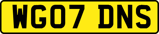 WG07DNS
