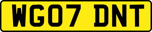 WG07DNT