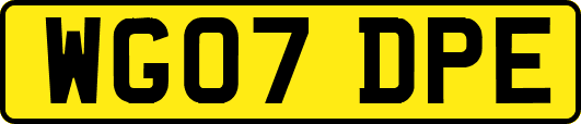 WG07DPE