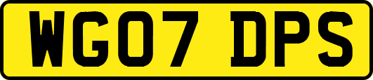 WG07DPS