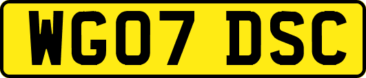 WG07DSC