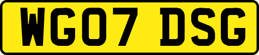 WG07DSG