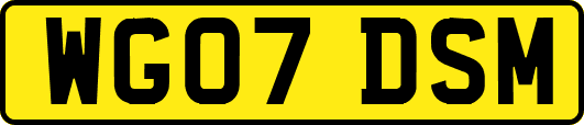 WG07DSM