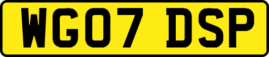 WG07DSP