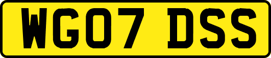 WG07DSS