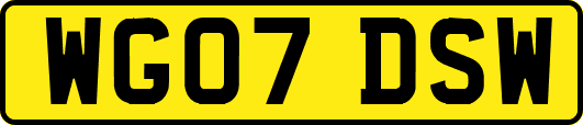 WG07DSW