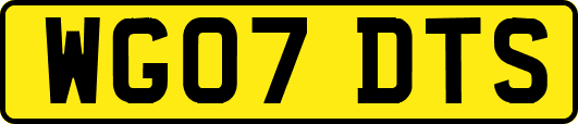 WG07DTS