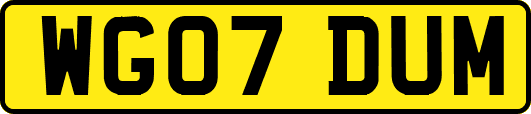 WG07DUM