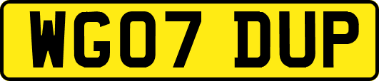 WG07DUP