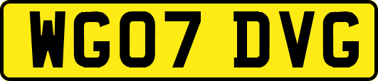 WG07DVG