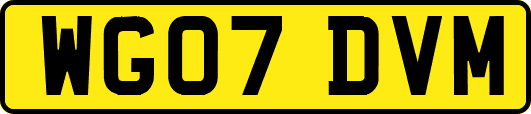 WG07DVM