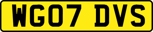 WG07DVS