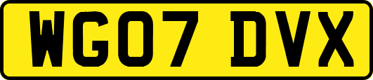 WG07DVX