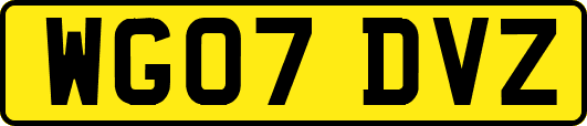 WG07DVZ